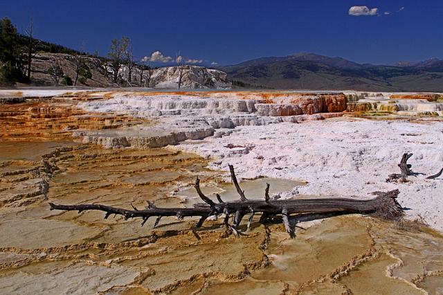 053 yellowstone, mammoth hot springs, upper terraces.JPG